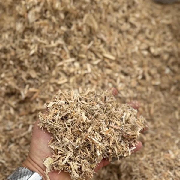 Viruta exclusiva de Recipal Extremadura