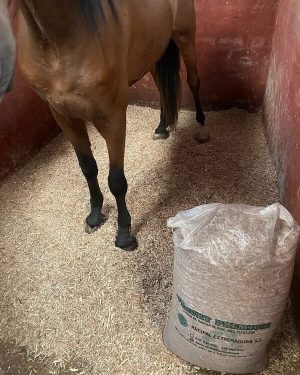 Caballo con viruta premium recipal extremadura