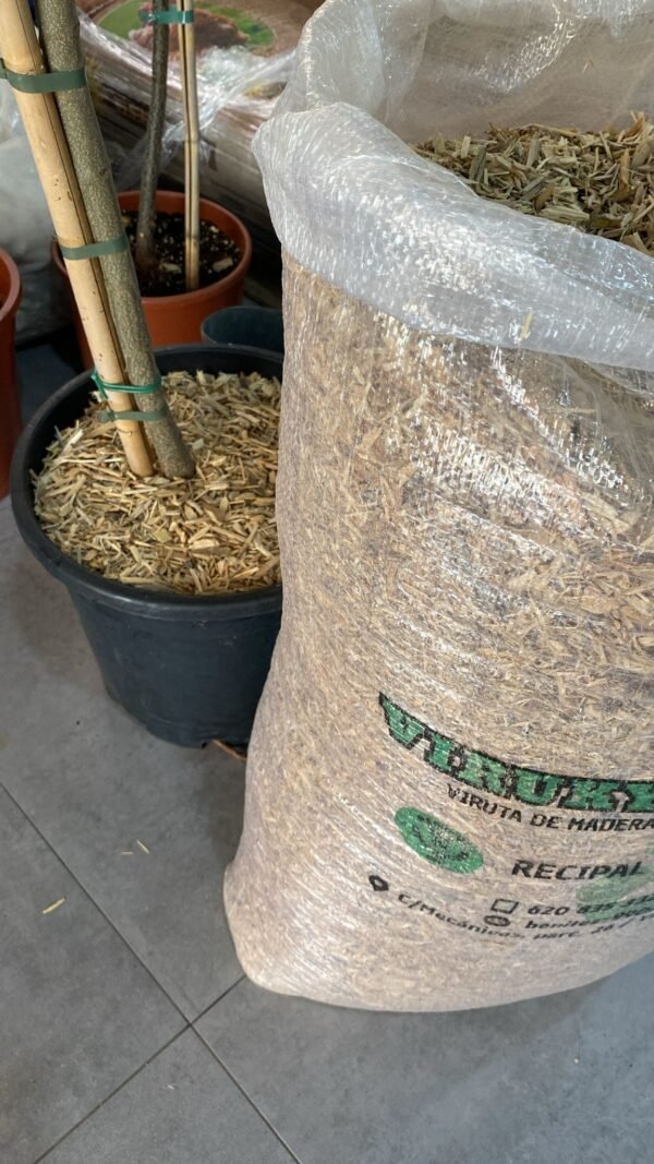 Viruta de Pino Exclusiva